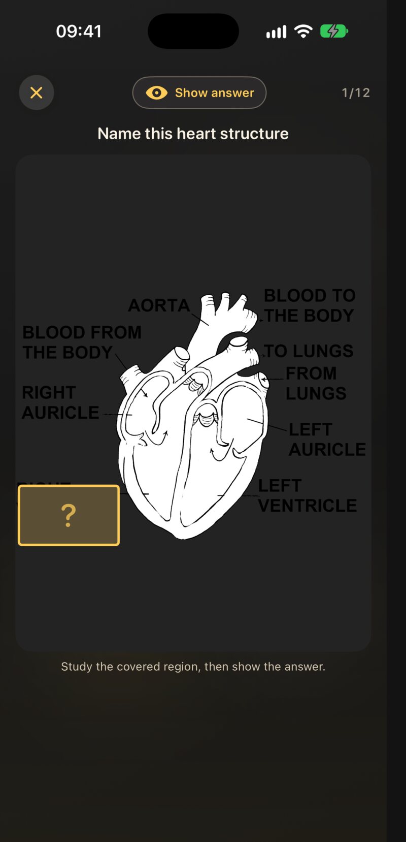 An occlusion card during review, before and after Show answer.